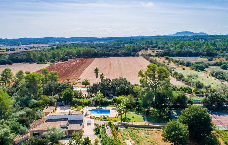 Finca für 6 Personen, mit Terrasse in Sencelles - 3