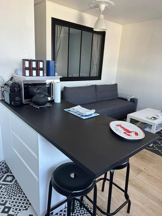 Gîte pour 4 personnes, avec terrasse et vue, animaux acceptés dans Port de plaisance de Douarnenez-Tréboul - 4