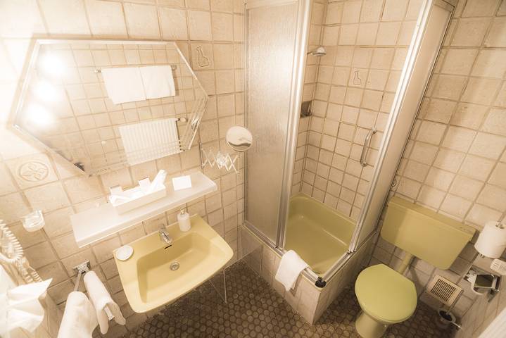 Hôtel pour 2 personnes, avec jardin, animaux acceptés à Baden-Baden - 4