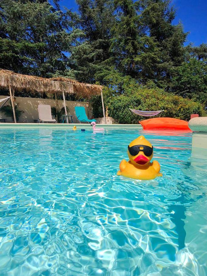 Maison d’hôte pour 2 personnes, avec piscine ainsi que jacuzzi et jardin