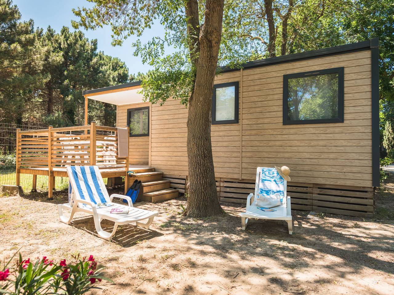 Le Mediterranée in La Côte Vermeille, Argelès-sur-Mer