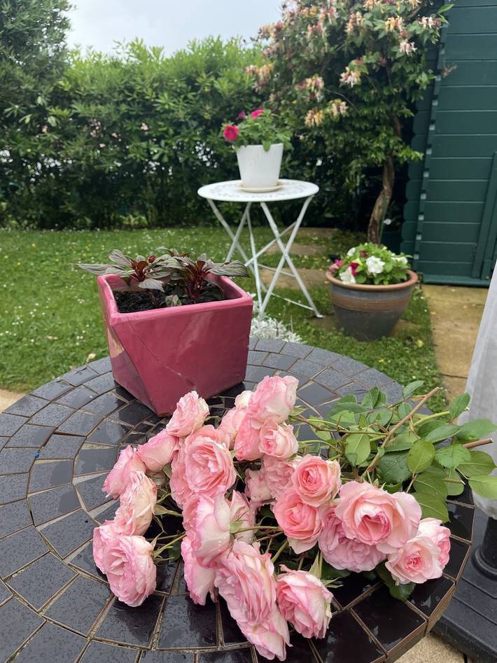 Chambre d’hôte pour 2 personnes, avec jardin au Pays basque