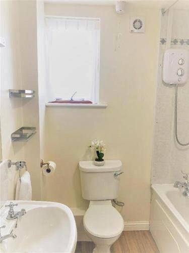 Chambre d’hôte pour 2 personnes à Clifden - 4