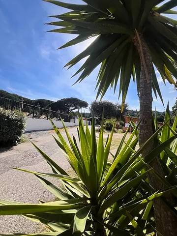 Camping für 6 Personen in Mandelieu-la-Napoule, Cannes und Umgebung, Bild 4