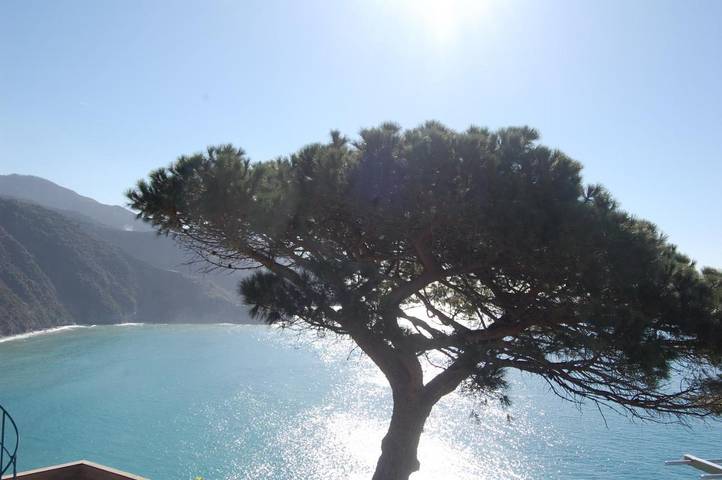 Maison d’hôte pour 2 personnes, avec terrasse et vue, animaux acceptés à Corniglia - 4