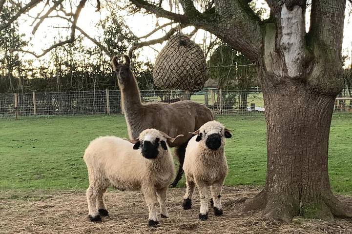 Chalet pour 2 personnes