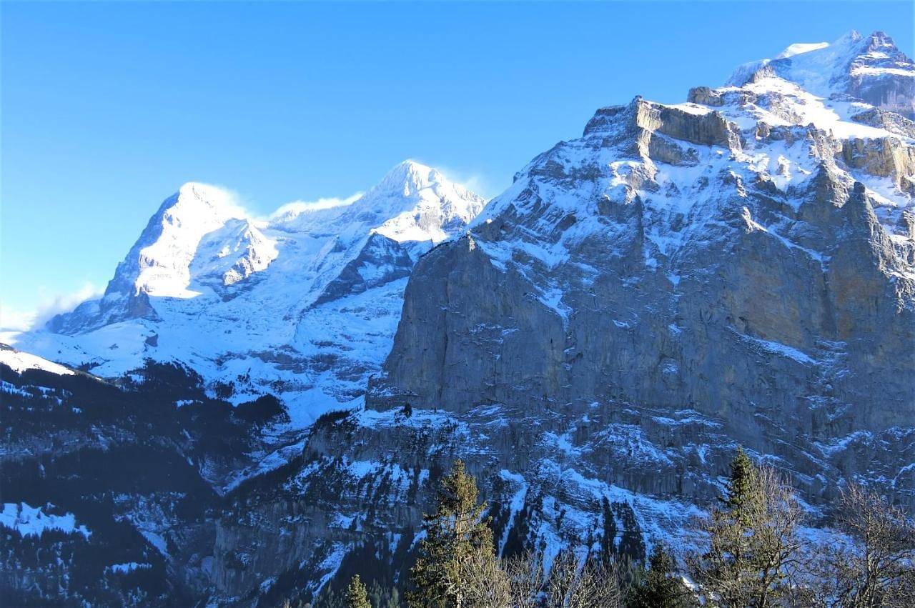 Ganze Wohnung, Chalet Raufthubel in Lauterbrunnen, Verwaltungskreis Interlaken-Oberhasli
