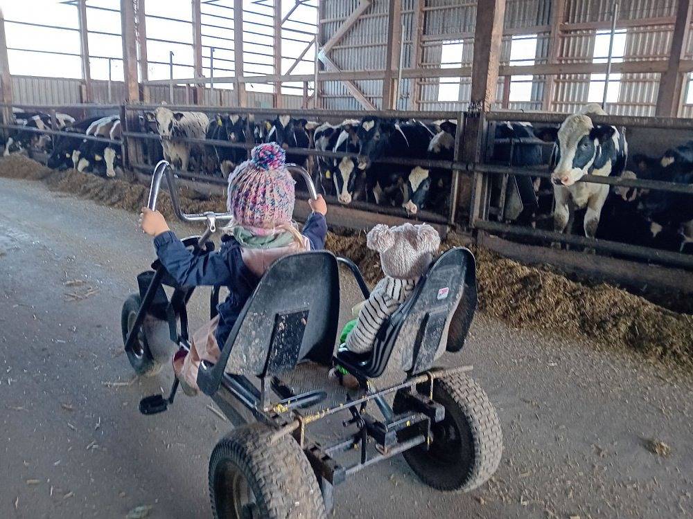Ferienhof Landfrieden - G  Klabautermann in Vollerwiek, Eiderstedt
