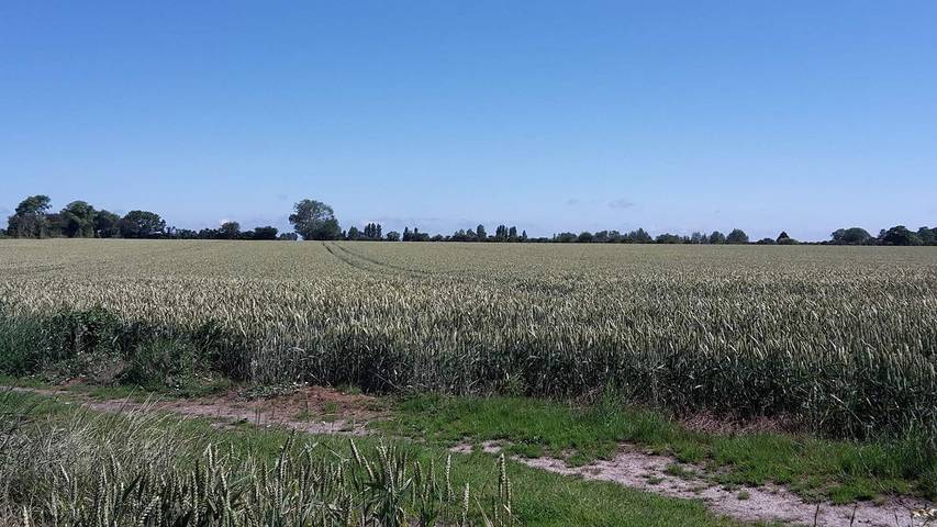 Ferienhaus für 11 Personen, mit Garten, mit Haustier auf Ærø - 4