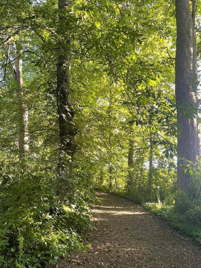 Gîte pour 5 personnes, avec jardin et piscine, animaux acceptés dans Hersin-Coupigny - 2