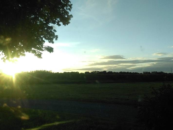 Ferienhaus für 4 Personen, mit Terrasse und Sauna, mit Haustier in Djursland - 4