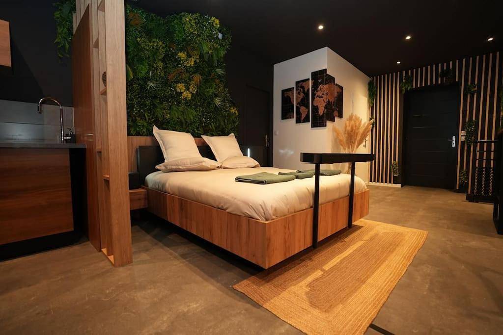 Appartement entier, One-Bedroom Apartment in Roanne, Région de Roanne