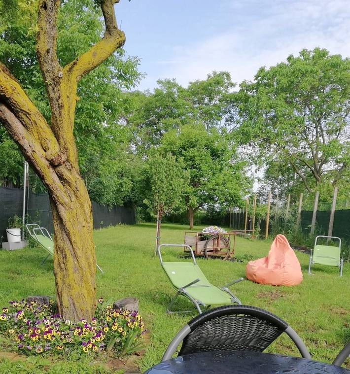 Chambre d’hôte pour 2 personnes, avec jardin à Mantoue - 4