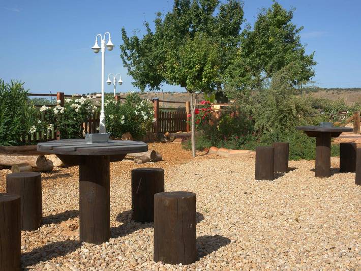 Casa rural para 12 personas, con terraza además de jardín y piscina, Se admiten mascotas en Castilla-La Mancha - 2