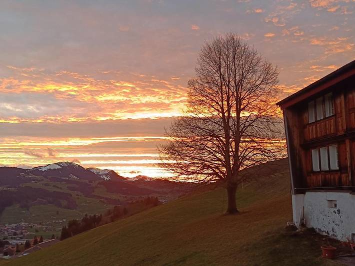 Gîte pour 6 personnes, avec vue et jardin, animaux acceptés à Appenzell - 4