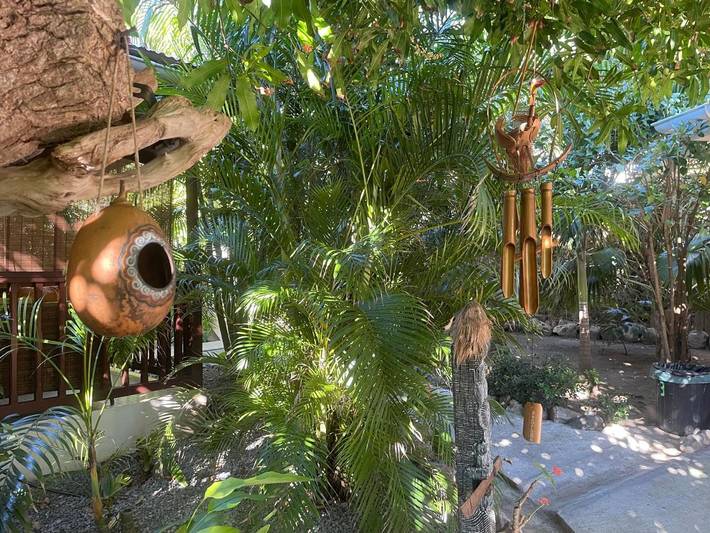 Location de vacances pour 2 personnes, avec terrasse et jardin à Terre-de-Haut - 3