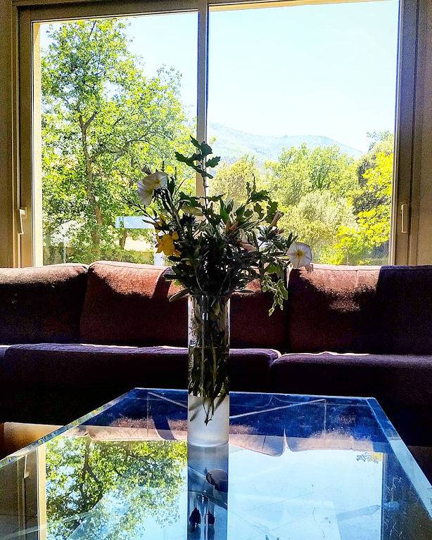 Gîte pour 8 personnes, avec terrasse et jardin, animaux acceptés à Montesquieu-des-Albères - 4