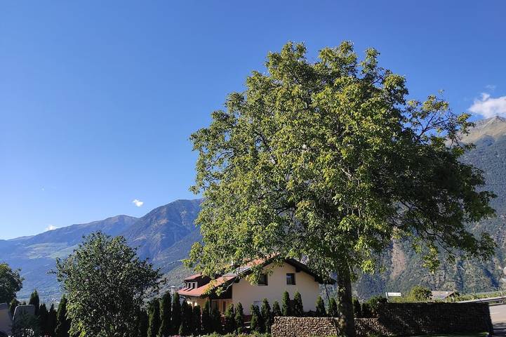 Bauernhof mit Kleintierhaltung ,schön und ruhig gelegen, mit Panoramasicht in Tarsch, Latsch