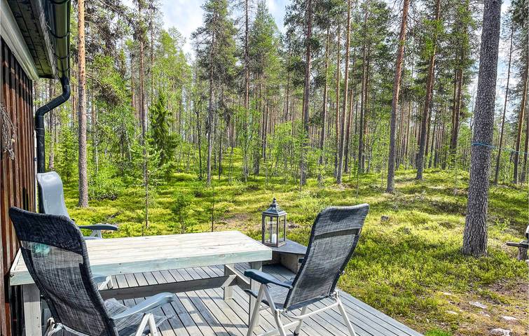 Location de vacances pour 6 personnes, animaux acceptés dans Trysil - 2