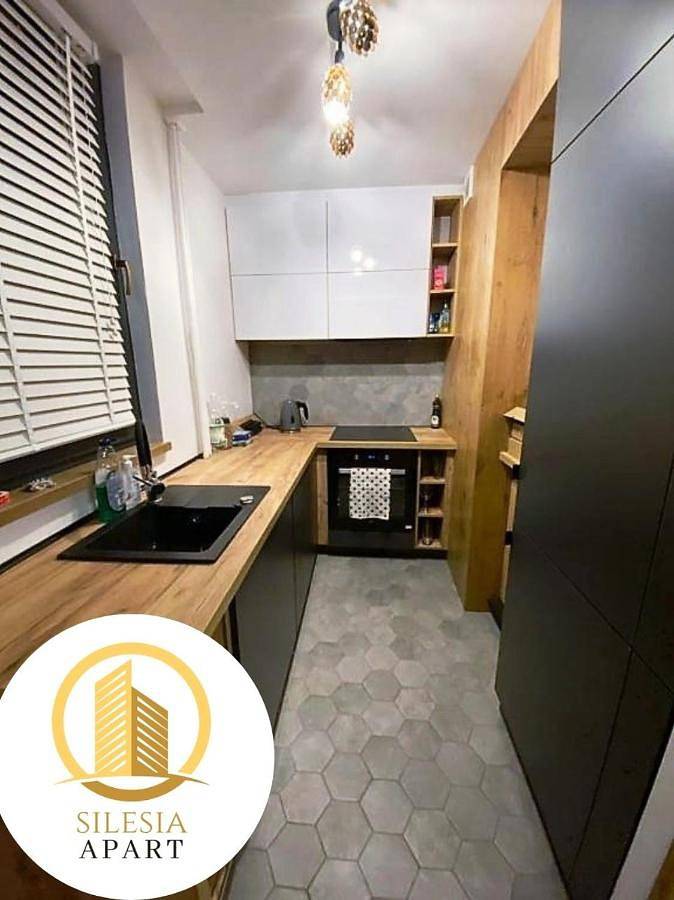 Apartament wakacyjny dla 4 osób, z ogród i widok w Tychy
