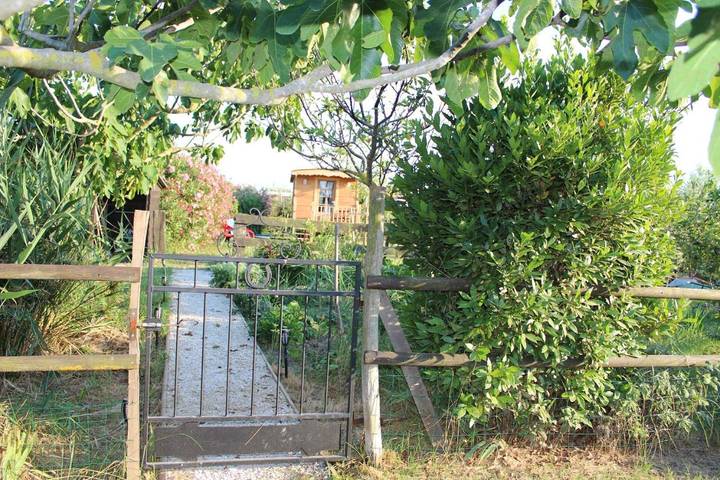 Chambre d’hôte pour 2 personnes, avec vue et jardin à Saintes-Maries-de-la-Mer - 4