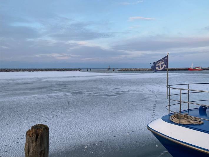 Ferienpark für 4 Personen, mit Pool und Garten, mit Haustier in Mecklenburg-Vorpommern - 3