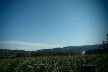 Casa De Férias para 3 Pessoas em Balugães, Distrito de Braga, Foto 4