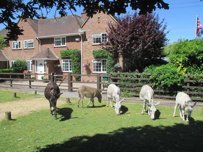 Holiday rental for 2 people, with Terrace in Brockenhurst
