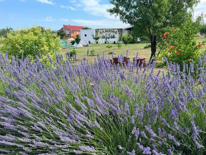 Kemping dla 2 osób, z ogród w Zadar