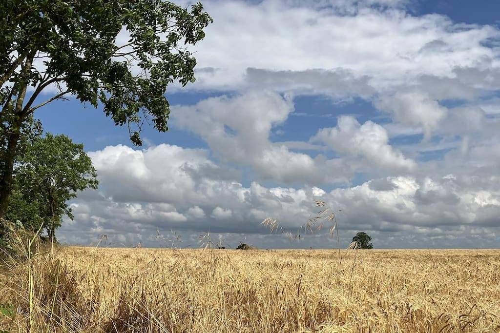 Le Havre Rabelaisien in La Roche-Clermault, Vallée de la Loire