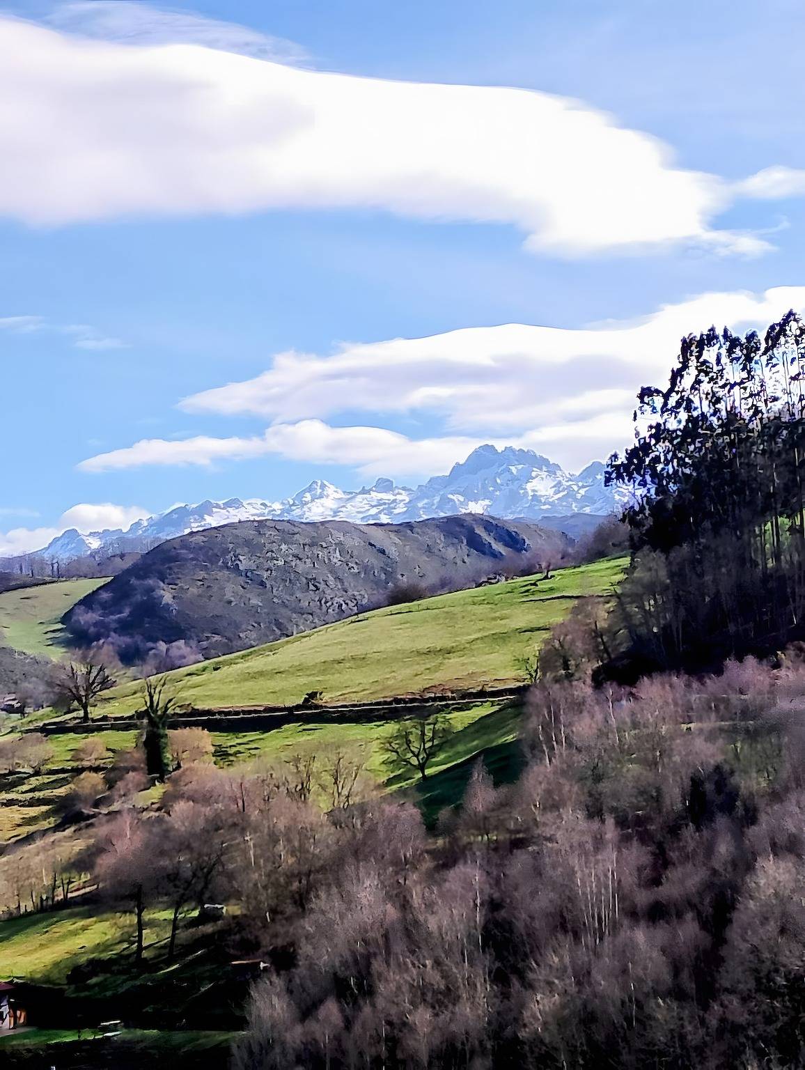 Ganze Wohnung, Apartment 'Casalola 1' mit Bergblick, Wlan und Klimaanlage in Cangas de Onís, Provincia de Asturias