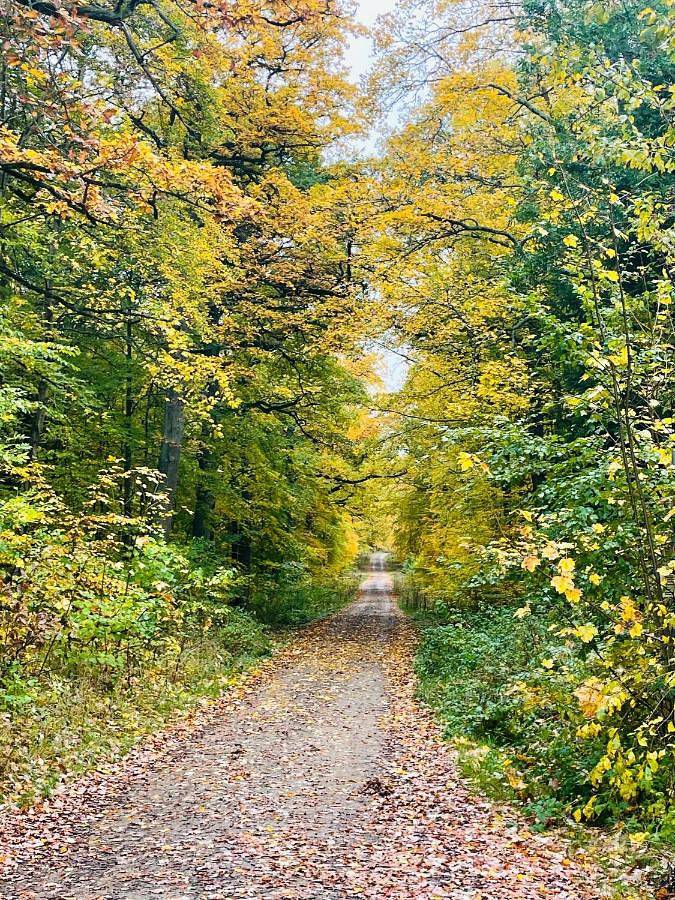 Gîte pour 5 personnes, avec jardin et vue, animaux acceptés dans Konigerode - 3