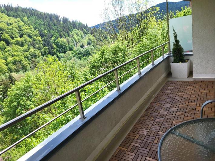 Gîte pour 3 personnes, avec vue et jardin à Sinaia - 4