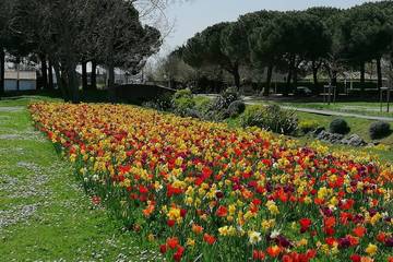 Appartement De Vacances pour 2 Personnes dans Blagnac, Haute-Garonne, Photo 3