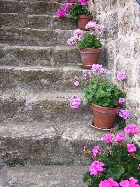 Location de vacances pour 2 personnes, avec vue ainsi que terrasse et jardin à Thueyts - 3