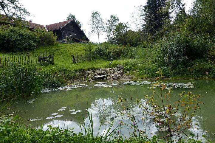Ganze Wohnung, Ferienwohnung/App. für 5 Gäste mit 76m² in Sulzberg in Sulzberg, Bayerisch Schwaben