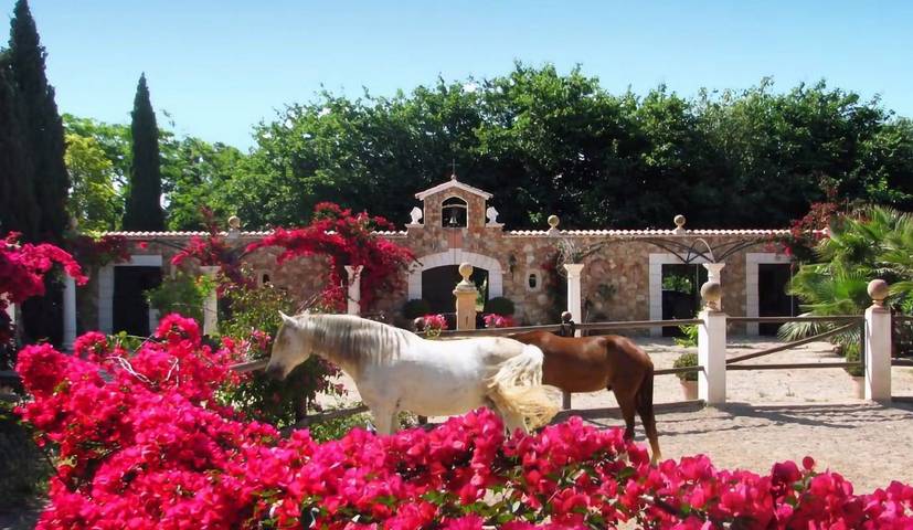 Finca für 10 Personen, mit Balkon und Terrasse sowie Garten in Binissalem - 3