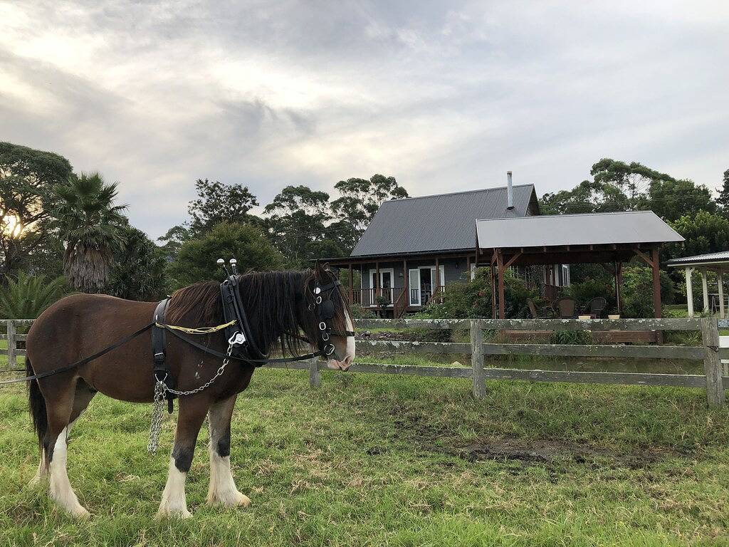 Peppergrove Cottage - Berry Premier Farm Stay in Berry (NSW), New South Wales