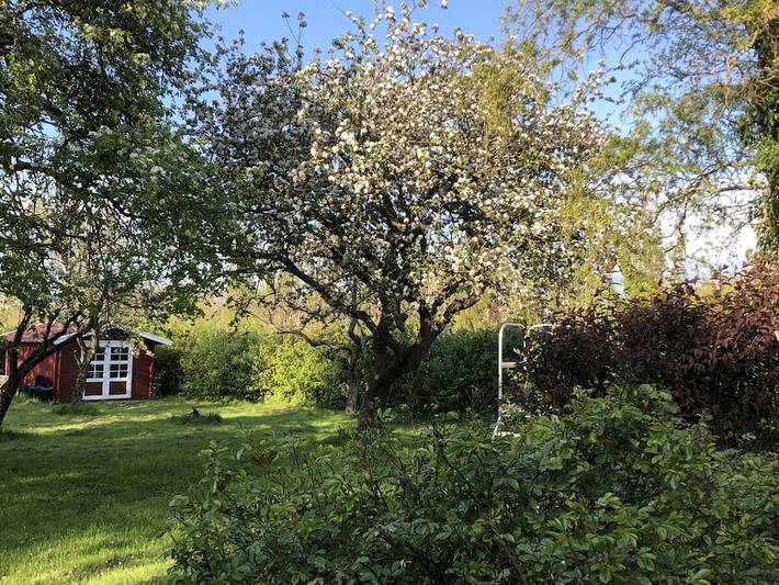 Ferienhaus für 2 Personen, mit Garten in Jemgum - 4