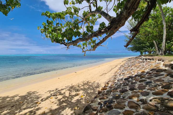 Cottage Miti Reva in Haapiti in Ha'apiti, Mo'orea