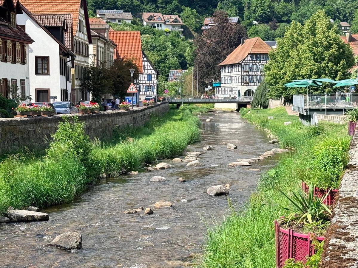 Single Room in Schiltach, Vallée du Kinzig