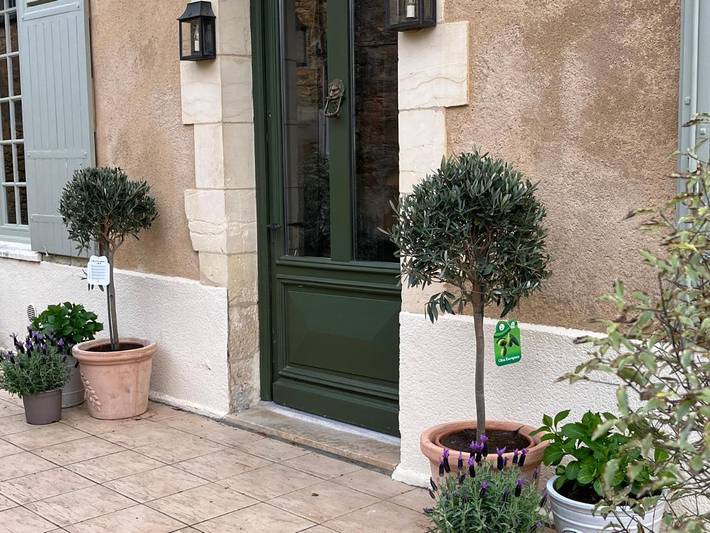 Chambre d’hôte pour 2 personnes, avec terrasse et vue à Saint-Avit-Sénieur - 2