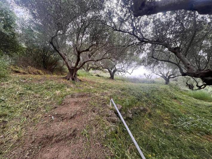 Camping für 2 Personen, mit Garten und Ausblick auf Kreta - 4