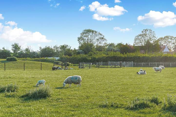Glamping for 3 people in Buckinghamshire