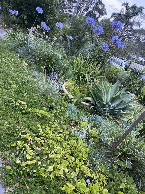 Dixie Margaret Surf Shack & Mtb Trail Bikers Narooma in Dalmeny, New South Wales