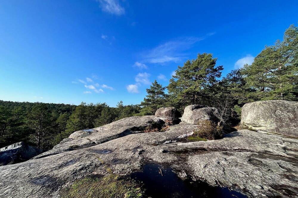 Apartamento entero, Le repaire de Barbizon in Barbizon, Parc naturel régional du Gâtinais français