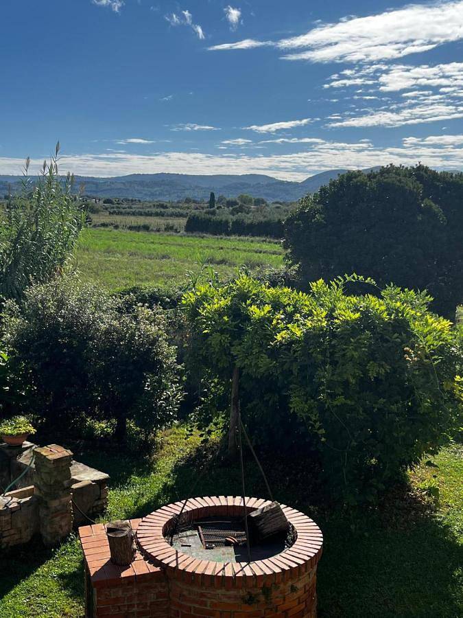 Landhaus für 4 Personen, mit Ausblick und Pool sowie Garten, mit Haustier in Castagneto Carducci - 2