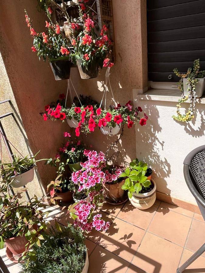 B&B Fleurs in Enna, Province d'Enna