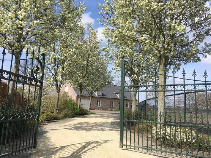 Villa pour 9 personnes, avec Terrasse et Jardin ainsi que Sauna et Vue à Neerpelt