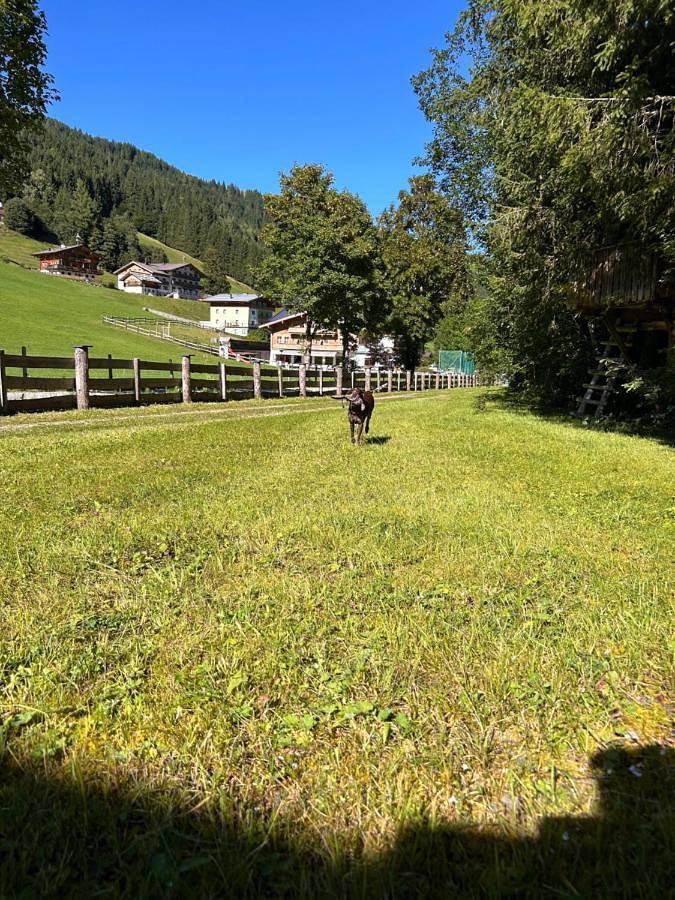 Landhaus St Georg inklusive Jokercard in Hinterglemm, Saalbach-Hinterglemm